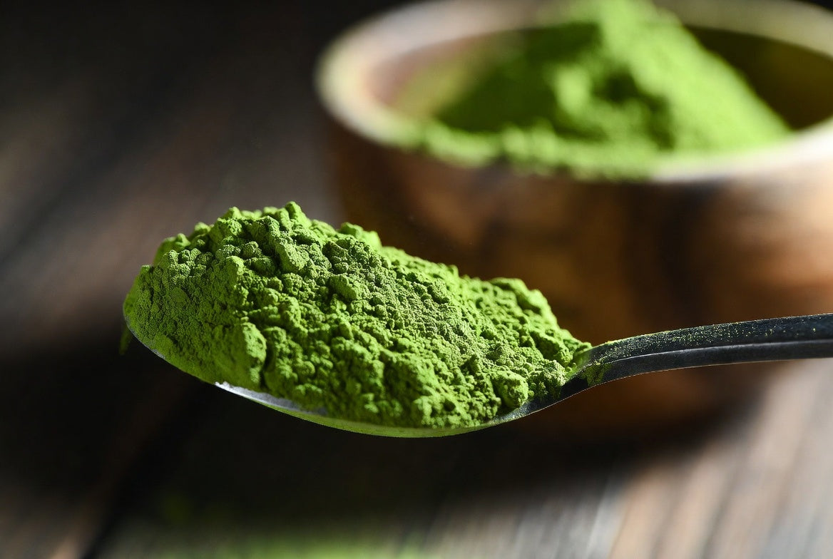 Matsunoki Matcha Kyoto Uji Heritage - 1 kg (2.2 lbs)